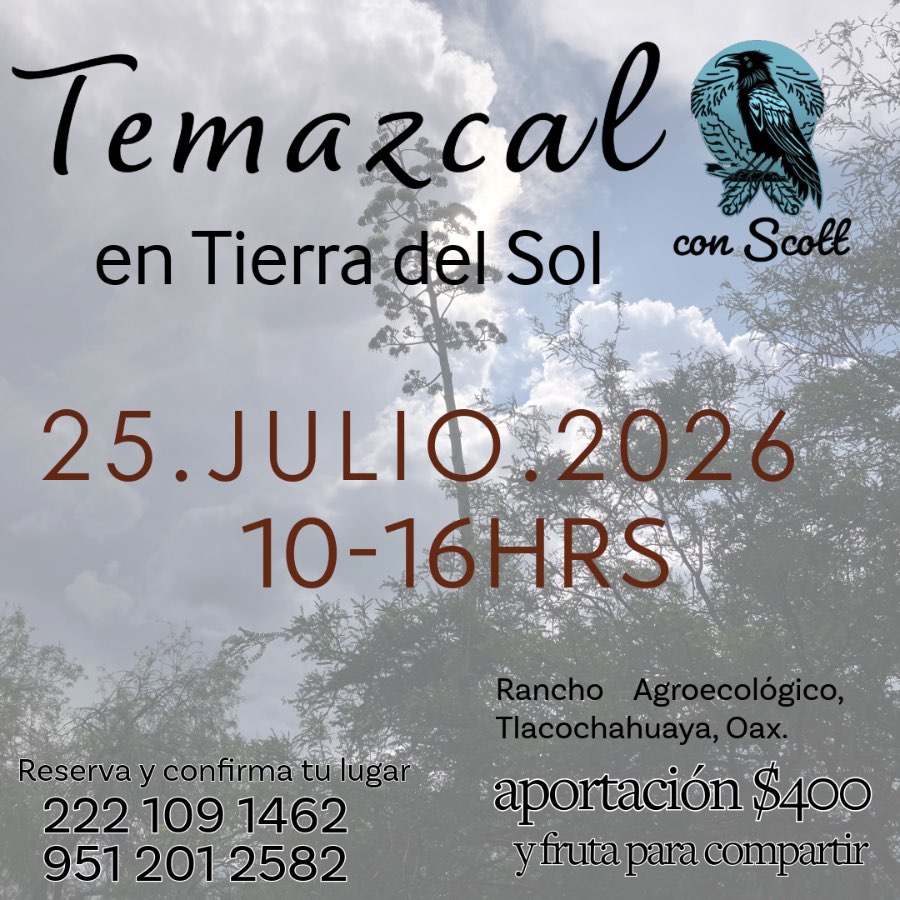 Temazcal en Tierra del Sol con Scott