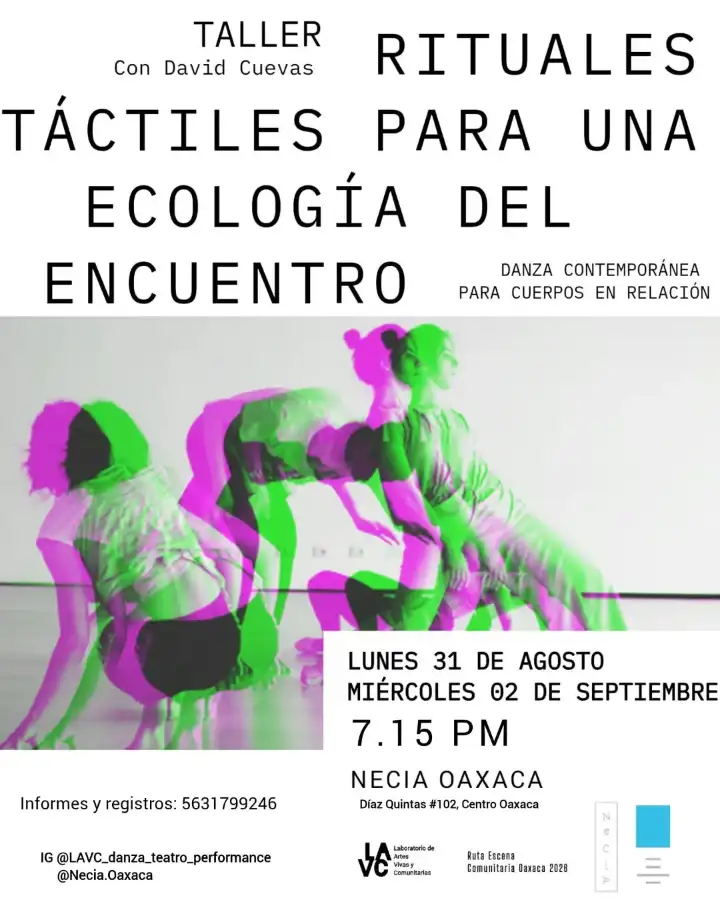 Workshop: Tactile Rituals for an Ecology of Encounter