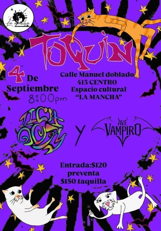 Lichoopy in Concert